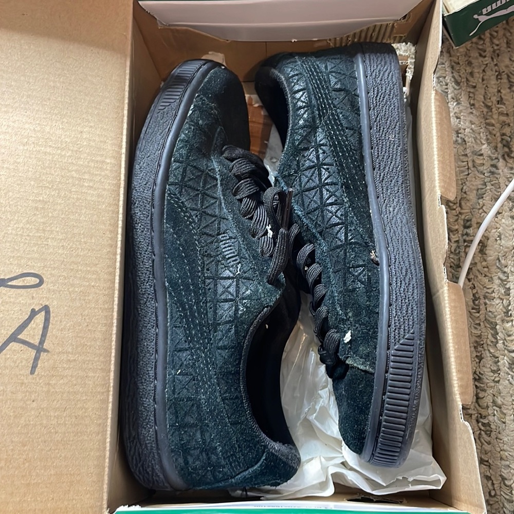 pumas